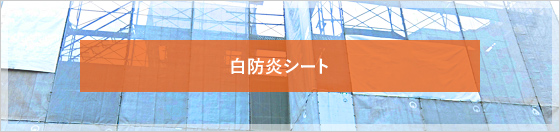 ���h���V�[�g