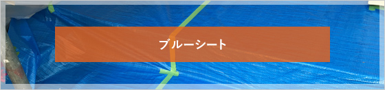 �u���[�V�[�g